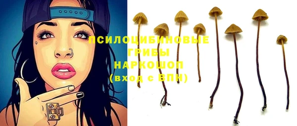 мдпв Нефтегорск