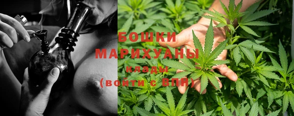 крисы Нея