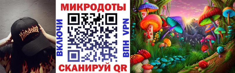 Галлюциногенные грибы Magic Shrooms  где купить   Каменногорск 