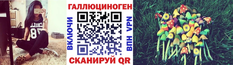 Галлюциногенные грибы Cubensis Каменногорск