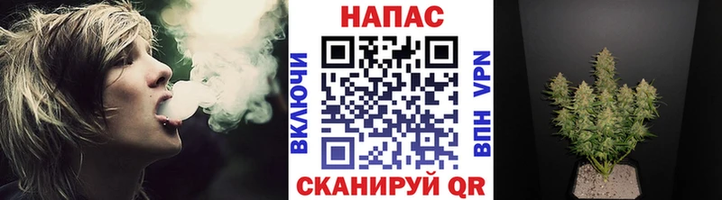 Бошки Шишки OG Kush Каменногорск